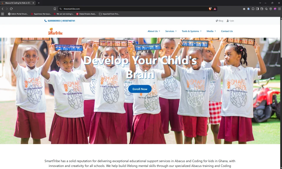 SmartTribe website (thesmartribe.com)
